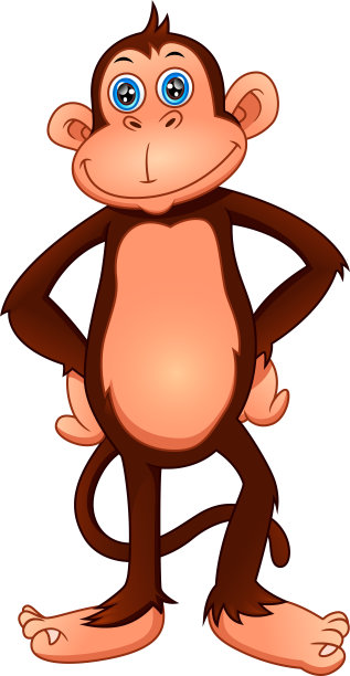 可爱的猴子卡通在白色的背景图片下载