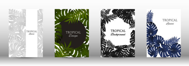 一套热带图片下载