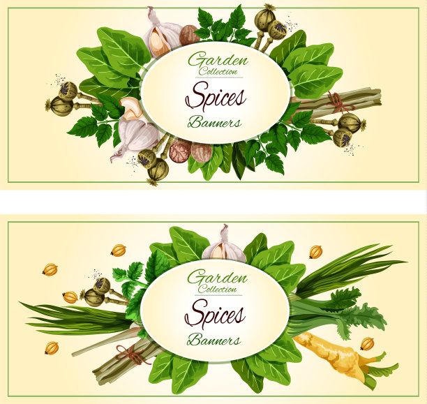 香料和香草旗帜设置的食品设计图片下载