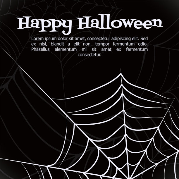 蜘蛛网图片下载