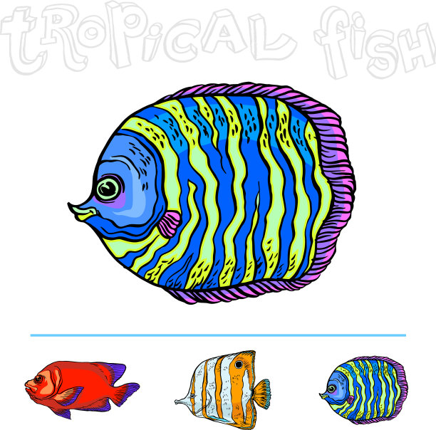 明亮的热带海鱼图片下载