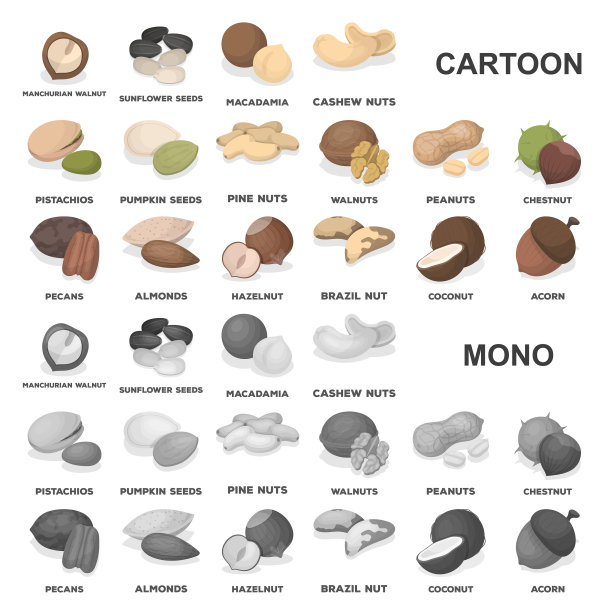 不同种类的坚果卡通图标设置图片下载