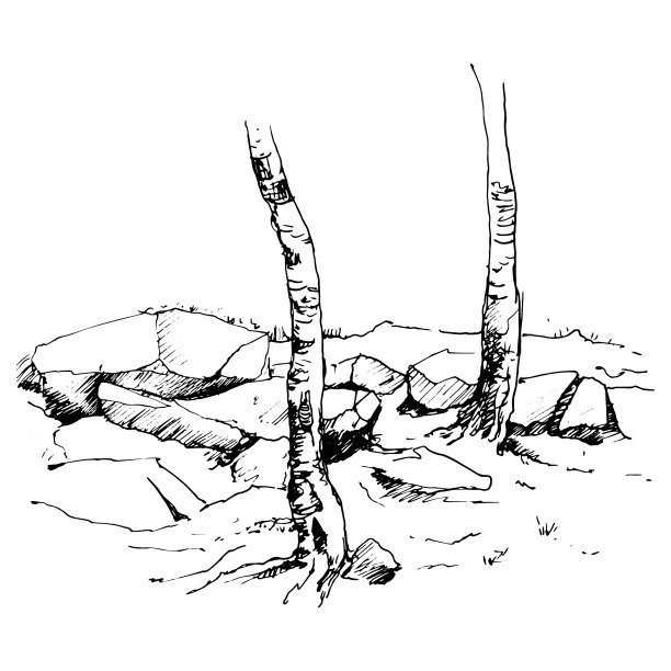 树干和岩石的素描图片下载