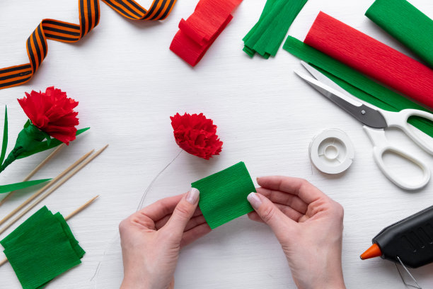 如何在家里制作康乃馨花。向5月9日胜利日敬献红色康乃馨。一步一步的照片说明。第9步。准备绿皮书。儿童DIY艺术项目图片下载