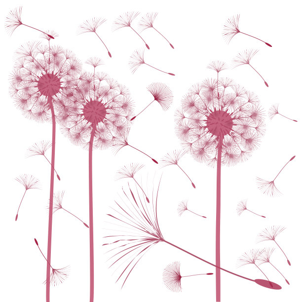 抽象的蒲公英背景设计图片下载