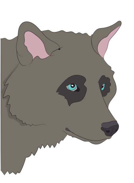 狗的头像向下看图片下载