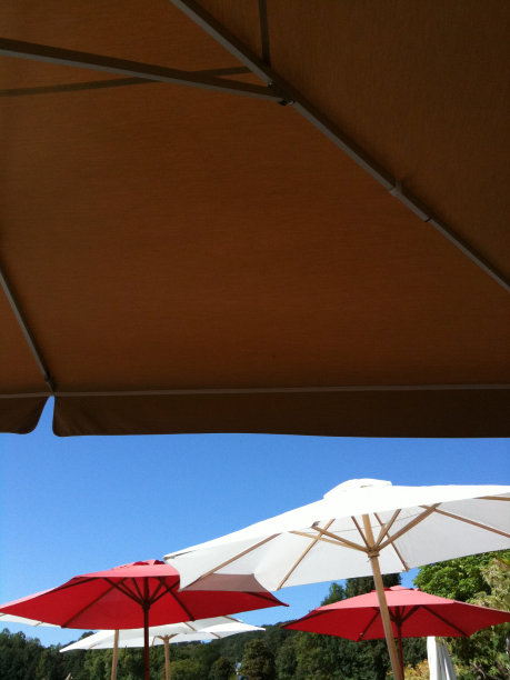 阳光下的雨伞图片下载