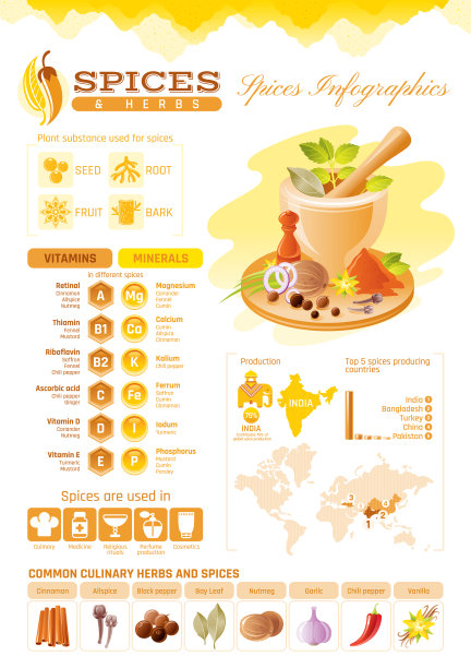 香料香草图标健康食物图标设置图片下载