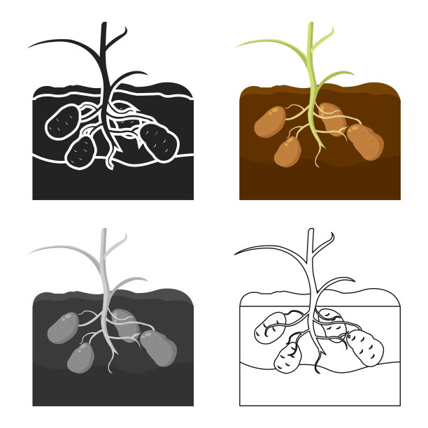 马铃薯图标卡通单植物图标图片下载