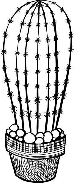 仙人掌的手图标图片下载