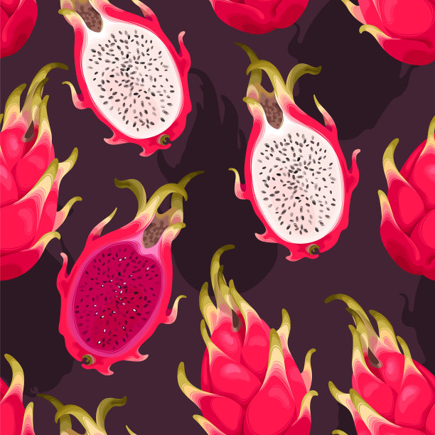 无缝图案与火龙果图片下载
