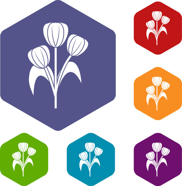 花图标设置六边形图片下载