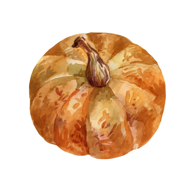 橙色南瓜水彩俯视图图片下载