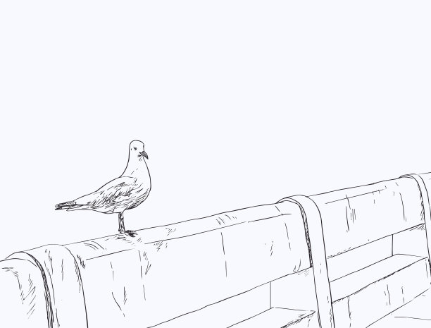 海鸥站在水泥桥上图片下载