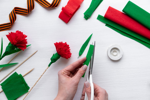 如何在家里制作康乃馨花。向5月9日胜利日敬献红色康乃馨。一步一步的照片说明。步骤15。从绿纸上剪下花瓣。儿童DIY艺术项目图片下载