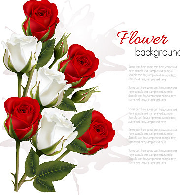 漂亮的贺卡和彩色的玫瑰图片下载