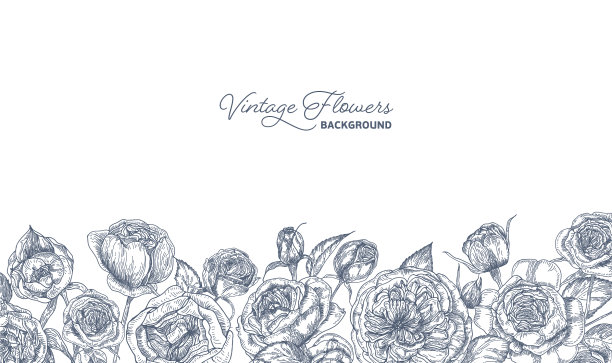 优雅的水平背景装饰与奥斯汀图片下载