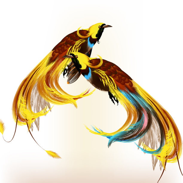 色彩斑斓的热带鸟图片下载