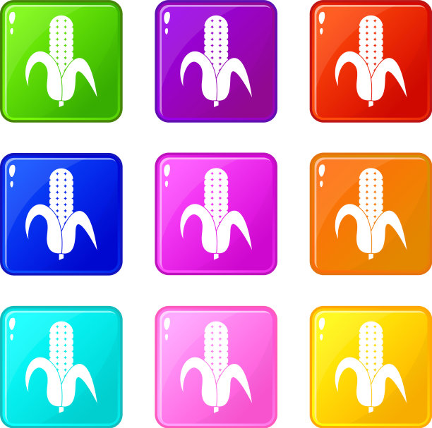 玉米穗轴图标9集图片下载