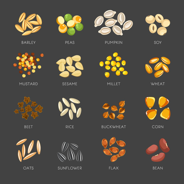 天然植物的种子堆成小堆图片下载