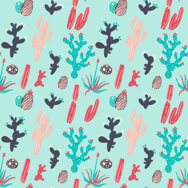 可爱的仙人掌和多肉的图案图片下载