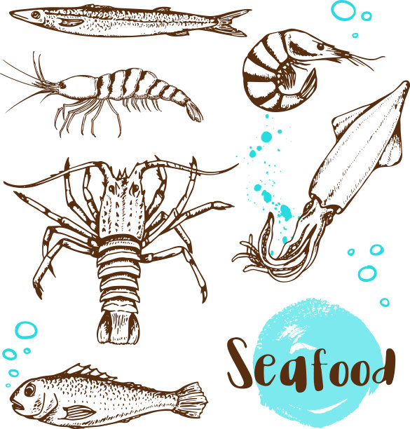 手绘的鱼、鱿鱼和虾图片下载