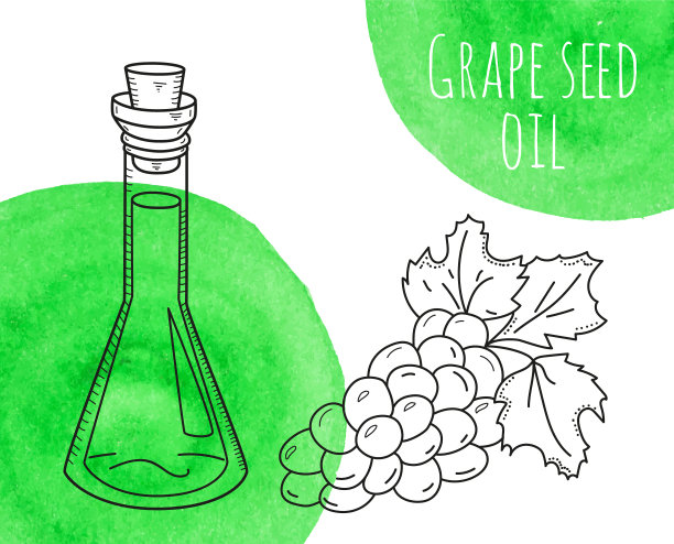 手绘绿色葡萄籽油瓶图片下载