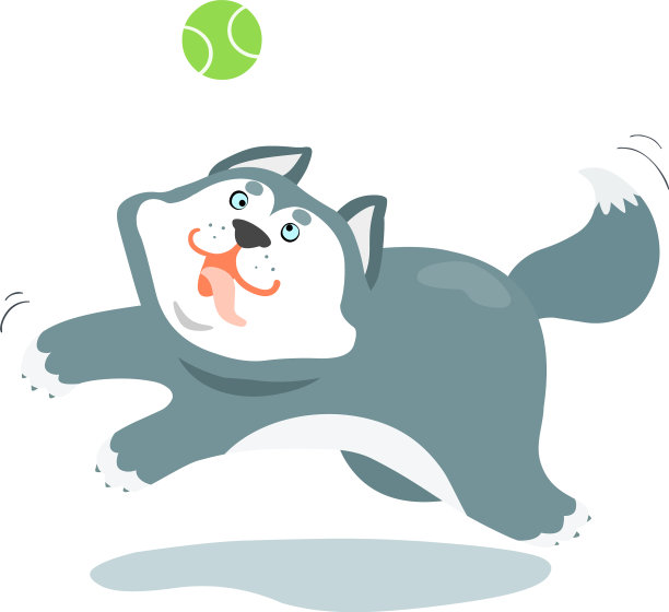 有趣的西伯利亚哈士奇狗和一个球图片下载