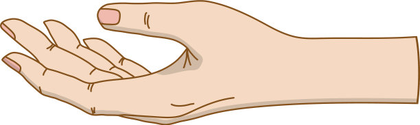 张开手掌图片下载