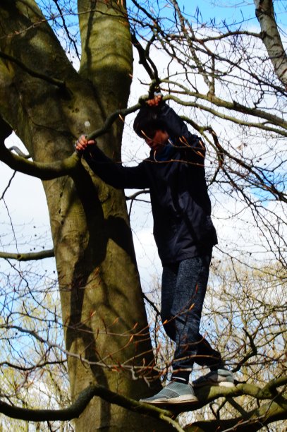 在高处图片下载