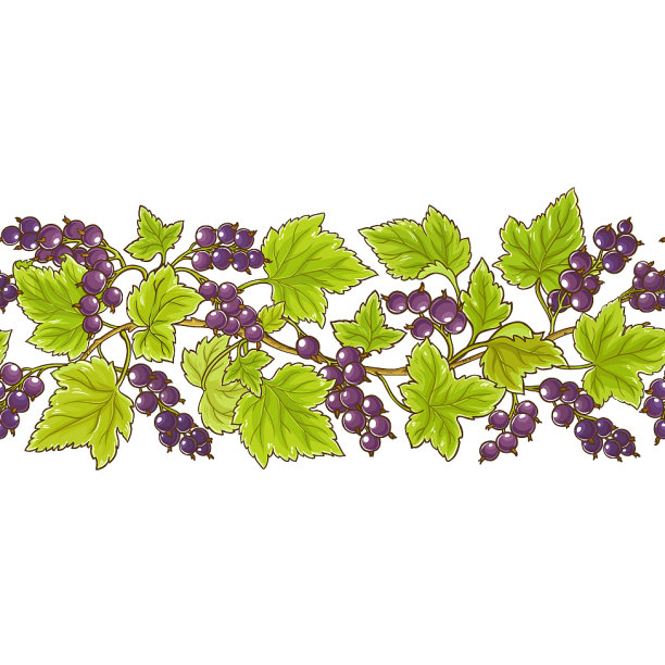 黑加仑子模式图片下载