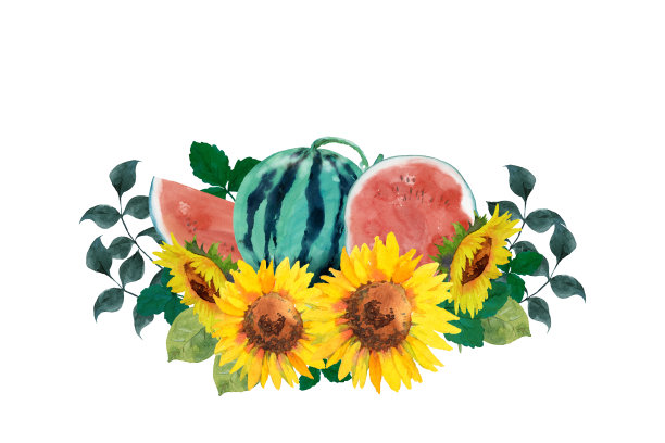 西瓜和向日葵图片下载