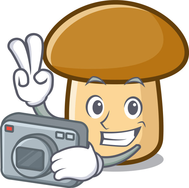 摄影师牛肝菌卡通吉祥物图片下载