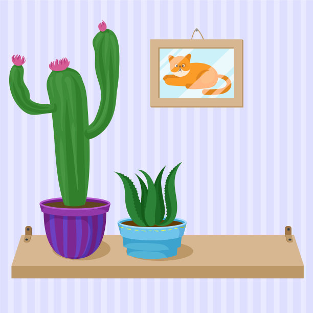 仙人掌和肉质家庭植物在盆上木制图片下载