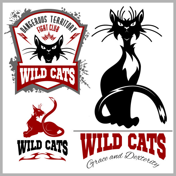 黑猫和白猫-设置模板图片下载