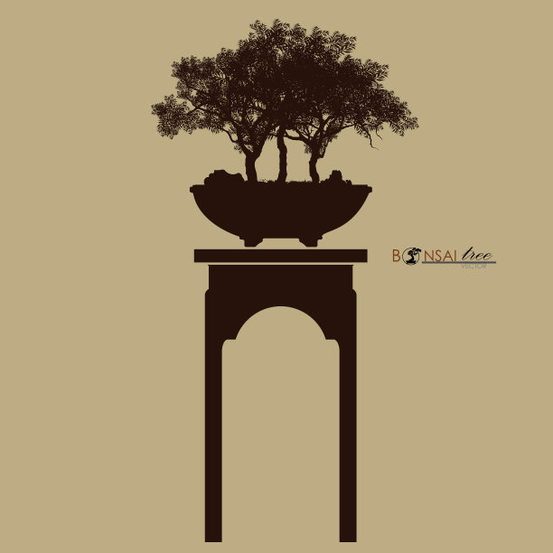 盆景树剪影盆景详细图像图片下载