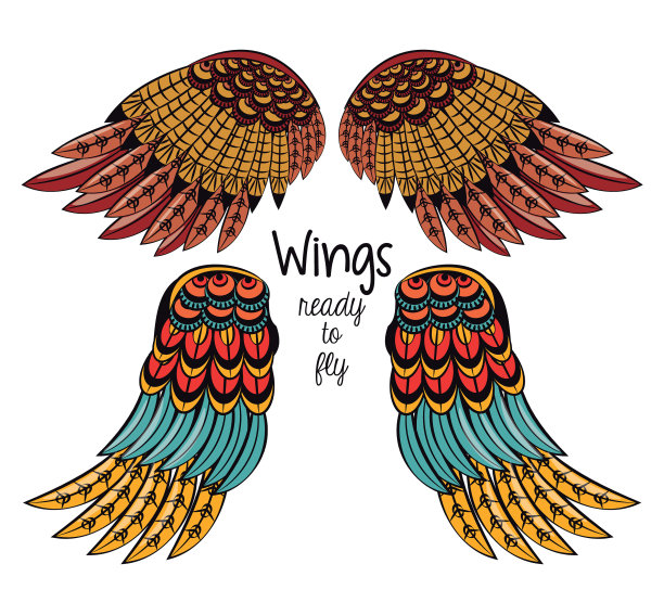 一套彩色的翅膀画图片下载