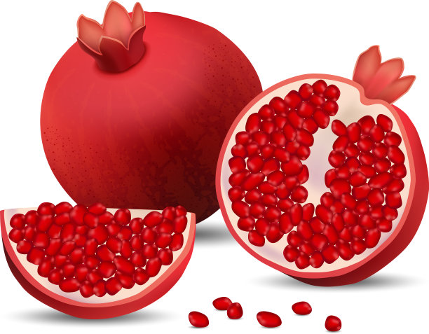 石榴汁种子图标设置逼真的风格图片下载