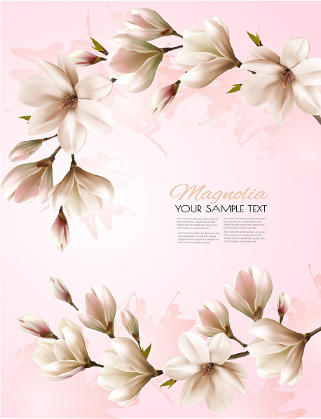 抽象的春天的背景与美丽图片下载