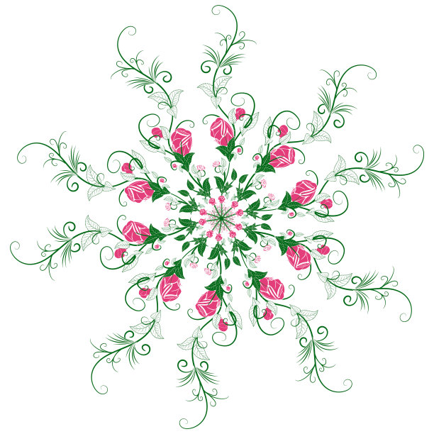 曼陀罗的枝桠和玫瑰的花朵图片下载