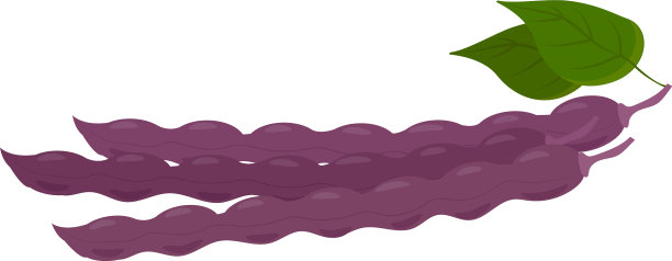 分离在白色背景上的新鲜青豆图片下载