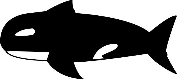 虎鲸野生动物海洋水生动物图片下载