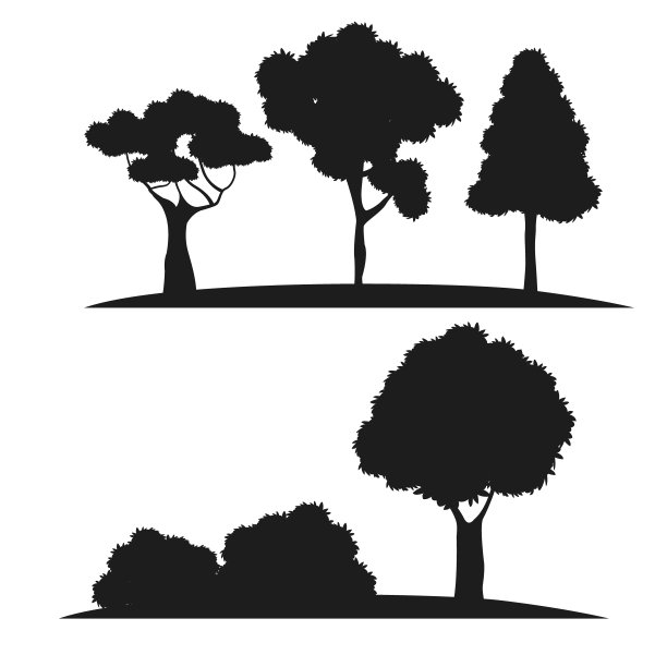 剪影树不同的性质图片下载