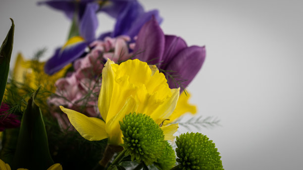 混合花束图片下载