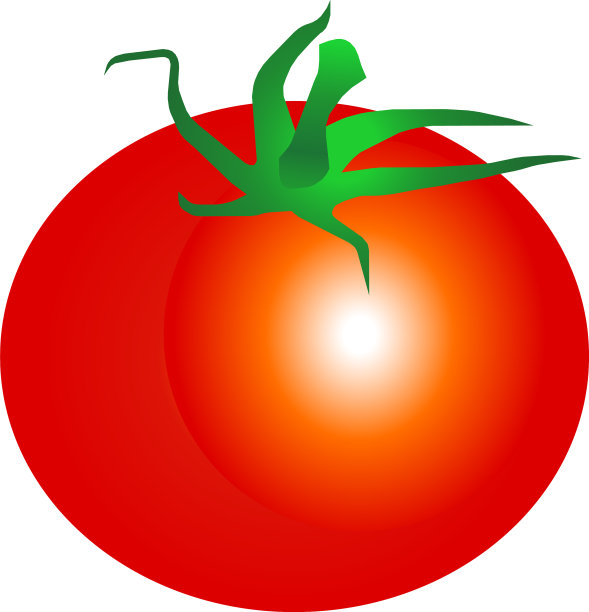 番茄孤立单图片下载