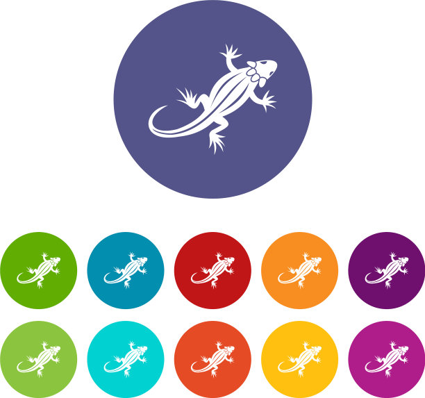 蜥蜴设置图标图片下载