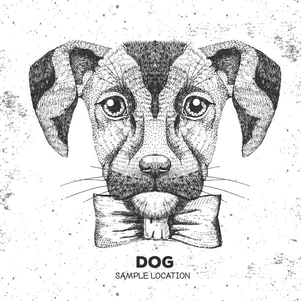 时髦的动物狗手画狗的嘴图片下载