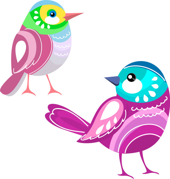 鸟两种颜色的鸟孤立在白色图片下载