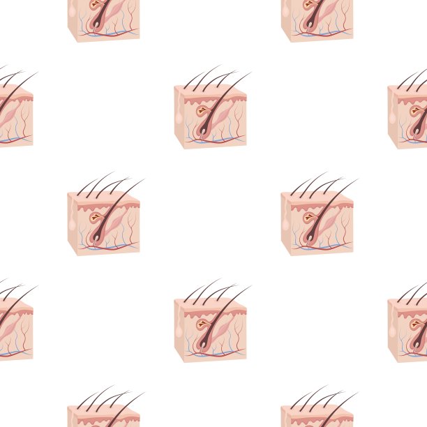 皮肤图标在卡通风格孤立的白色图片下载