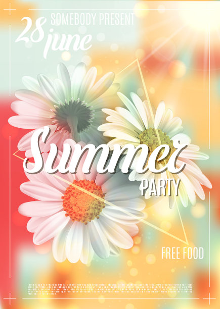 夏日背景以洋甘菊与精致图片下载